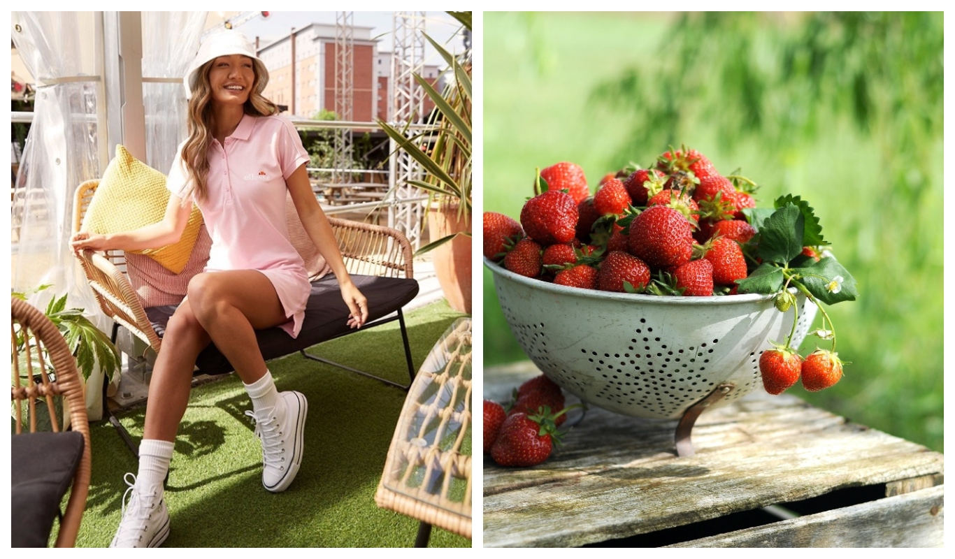 Mitä tehdä kesällä: poimi mansikoita